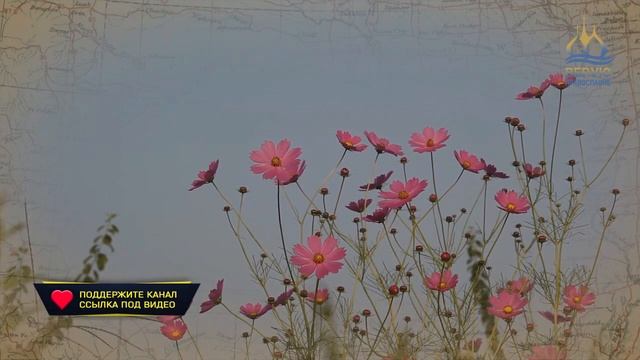 ? Победа над своими страстями есть, победа над Демонами - Антоний Оптинский #Верую_Православие смотреть онлайн