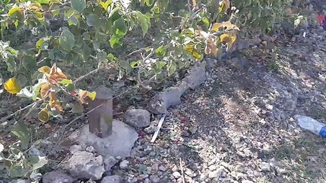 Занзибар 2021. Индийский океан и его красоты. Не туристическое место. Деревня Нунгви. смотреть онлайн