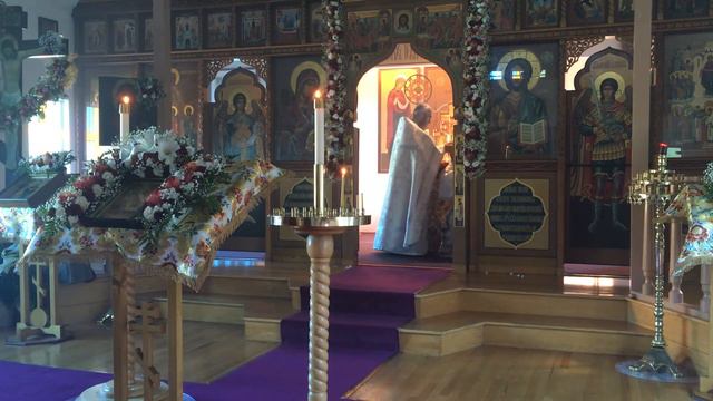 Воскресенье - утро 26-го апреля 2020 (вид снизу) смотреть онлайн