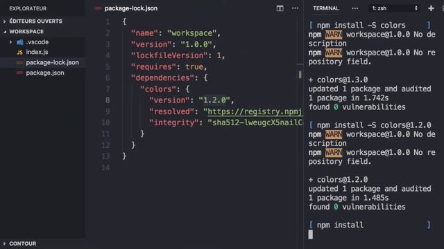 [NPM: Initiation] - Le fichier package.lock [7/10] смотреть онлайн