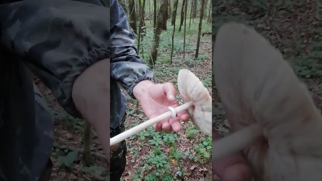 Грибные украшения для сада