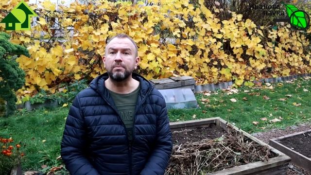 КОМПОСТ С ГРИБАМИ! Дары леса - грибы! Не только жарить, но и компостировать! Очень ценное удобрение смотреть онлайн