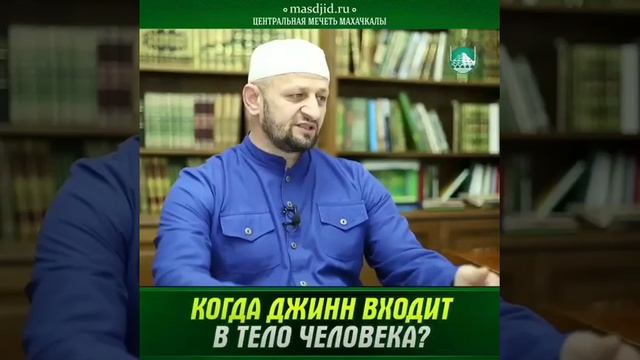 Это Будунов МухаммадХабиб смотреть онлайн