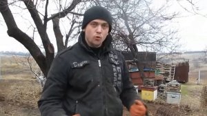Готовь сани летом - установка летних ульев. правильное расположение улья относительно сторон света.