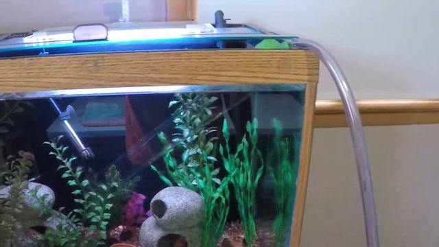 How to use Python Water Changer. смотреть онлайн