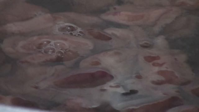 Секреты Творческого Прогресса