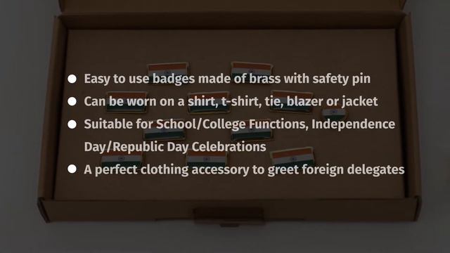 INDIAN FLAG LAPEL PINS RECTANGLE (S) - Set of 11 | Indic Inspirations смотреть онлайн