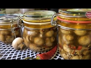 Быстрые маринованные грибы. Шампиньоны маринованные.