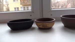 ПЛОШКИ ГОРШКИ ДЛЯ БОНСАЙ