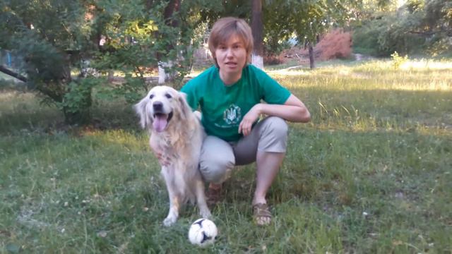 Pets from Ukraine predict women's Euro. France vs Iceland #6 смотреть онлайн