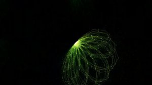 Ароматы Luxor