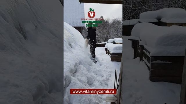 Очистка теплиц от снега смотреть онлайн