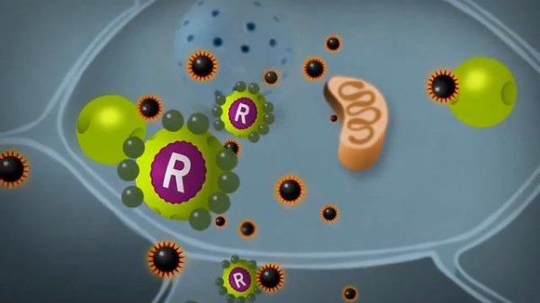 Майнд Мастер (Mind Master) от Компании LR. Как работает этот продукт.