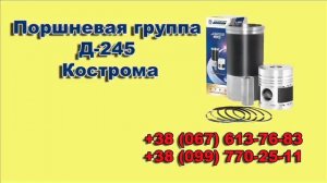 Поршневая группа МТЗ-80/82 Д-240/242/243 Кострома