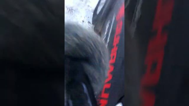 Ошибки сигнализации StarLine A91 при попытке поставить на охрану