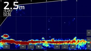 паноптикс крупный окунь и щука