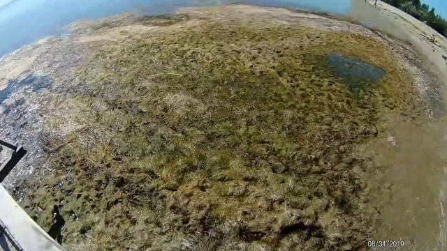 Отдых в с Красное чорное море. смотреть онлайн