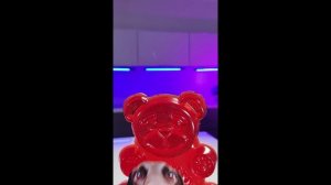 МЕДВЕДЬ ВАЛЕРА - ПЕСНЯ ПРО СОБАКУ #shorts