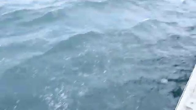 Ольхон паром смотреть онлайн