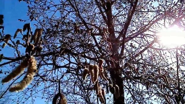 Ремонтные Консультации