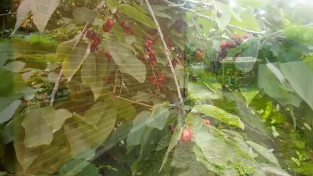 Продается дом ID 11045 смотреть онлайн