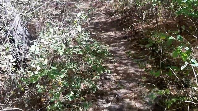 ЧЕМАЛ 2022 ДЕНЬ ВТОРОЙ.