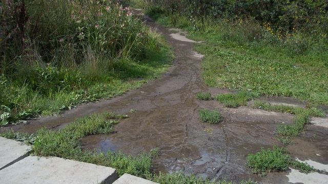 бежит вода неведомо куда смотреть онлайн