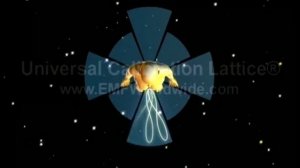 Электромагнитное поле человека. Современный взгляд.