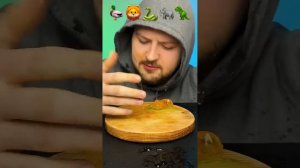 Funniest Videos From Sushi Monsters Compilation #8 _ ASMR