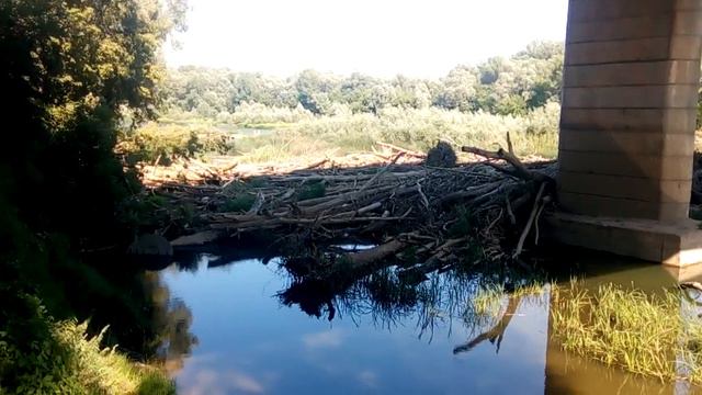 Жесть под мостом Оренбурга. Сакмара колхоз Ленина. смотреть онлайн