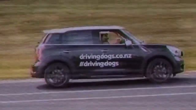 Слышь, давай подрифтуем. смотреть онлайн