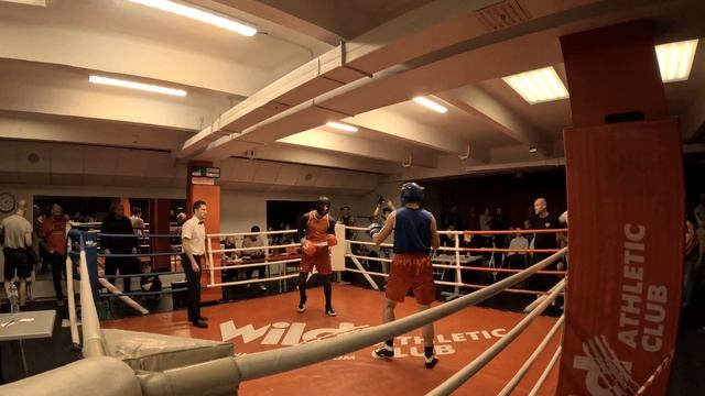 Бокс, открытый ринг в Wild Athletic ! смотреть онлайн