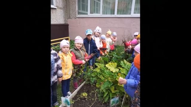 МБДОУ Детский сад 6 Сказка#КонкурсВыготского2019 Л С Долинина г Химки смотреть онлайн