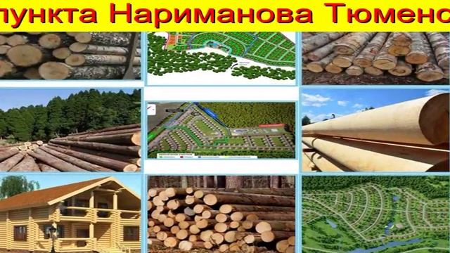 На корню Лес Пиловочник Тюмень смотреть онлайн