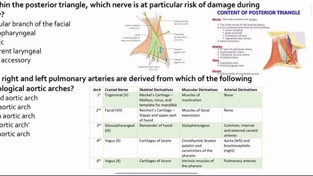 Part (2/4)_Fawzia Sheet_Paper One_ Q17-Q51 | MRCS Part A Preparation #mrcs #medical #surgery смотреть онлайн