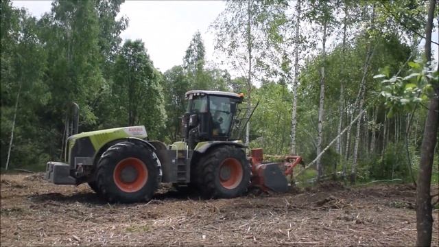 Валим лес на заросших полях! Лесоповал в Калужской области. смотреть онлайн