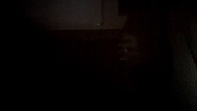 Outlast Real Life смотреть онлайн