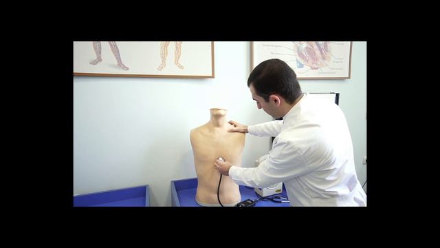 Առաջին Բժշկական. Սրտի լսման կետերը,տոները смотреть онлайн