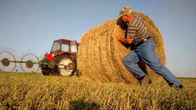 Минута из Сенокоса 2020 Бажениты как завязать рулон сена смотреть онлайн