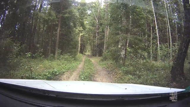 атлас в лесу 4 2019 08 31 14 31 56 смотреть онлайн