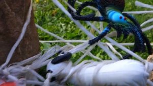 Животные. Огромный ПАУК нападает на Животных! Мультик про Животных и Паука для детей Игрушки ТВ