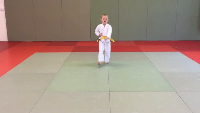 SPORTDATA E-TOURNAMENT WORLD SERIES - KATA #3 Jakob u8 смотреть онлайн