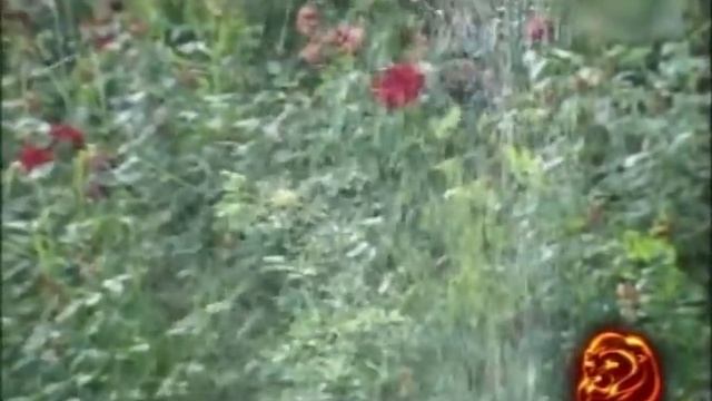 Sherali Jo'rayev - O'zbegim | Шерали Жураев - Узбегим