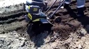 Культиватор Champion BC5602BS