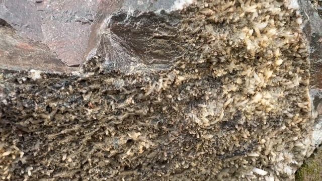 Finding Crystals in Matachewan Road Cuts смотреть онлайн
