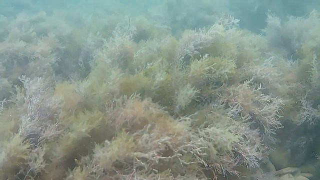 КАВКАЗСКАЯ ОДИССЕЯ / ДЕНЬ ЧЕТВЕРТЫЙ / ТУАПСЕ, ПЛЯЖ И МОРЕ смотреть онлайн