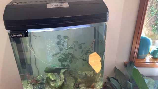 About your aquariums sound смотреть онлайн