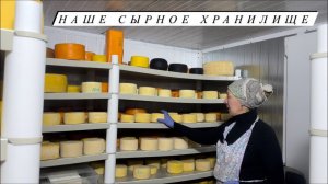 Разгромили весь курятник, поймали хищника. Удой наших коз. Фермерские будни.