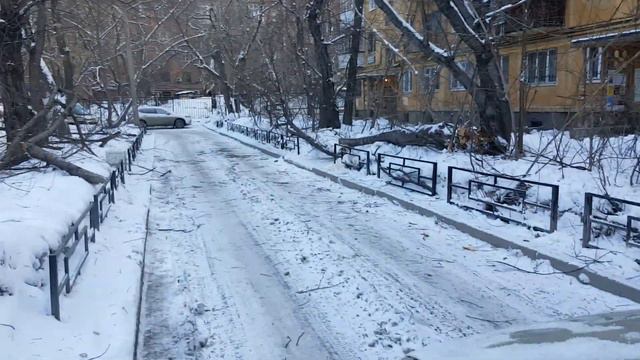 Дерево упало на дорогу во дворе на Проспекте ленина 68а смотреть онлайн
