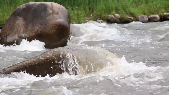 Туристский фестиваль "Песчаная 2015" Алтайский край смотреть онлайн